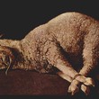 <p><b>Agnus Dei - Francisco Zurbarán</b></p>