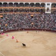 <p><b>Plaza de Toros de las Ventas</b> - Madrid</p>