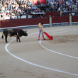 <p>Las Ventas - Madrid</p>