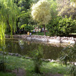 <p><b>Parque del Retiro</b> - Madrid</p>