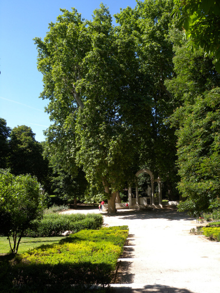 Parque del Retiro - Madrid