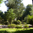 <p><b>Parque del Retiro</b> - Madrid</p>