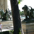 <p><b>Parque del Retiro</b> - Madrid</p>