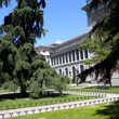 <p><b>Museo del Prado</b> - Madrid</p>