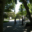 <p><b>Paseo del Prado</b> - Madrid </p>